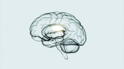 Como manter seu cérebro saudável em qualquer idade, de acordo com neurologistas