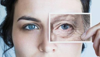 Envelhecer é uma doença que pode ser curada, diz cientista de Harvard Por Rafael Barifouse