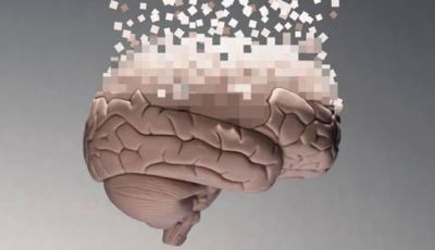 Como o cérebro humano se 'reconfigura' a partir dos 40 anos (e o que fazer para mantê-lo saudável)-Por Alejandro Millán Valencia